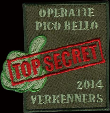 emblemen badges scouting geborduurde insignes kamp zomerkamp zoka chiro 13